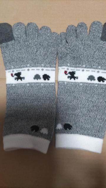 ☆5本指靴下2足 < インテリア/ライフ ☆5本指靴下2足 < インテリア/ライフの