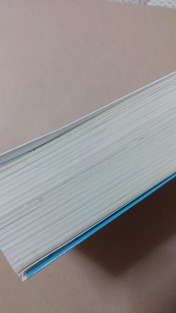 {@NC[ƖẺAzt@o[XfBp[eB[  {/G 