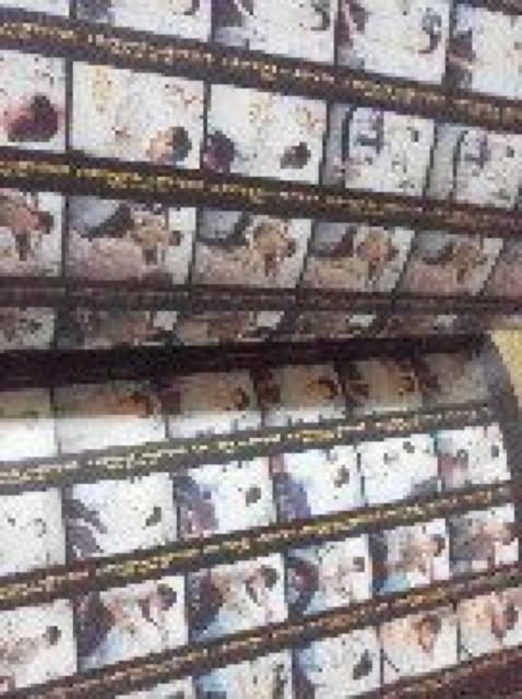 竹野内豊 写真集「YUTAKA Takenouchi/超美品!送料込み! < タレントグッズ 竹野内豊 写真集「YUTAKA Takenouchi/超美品!送料込み! < タレントグッズの