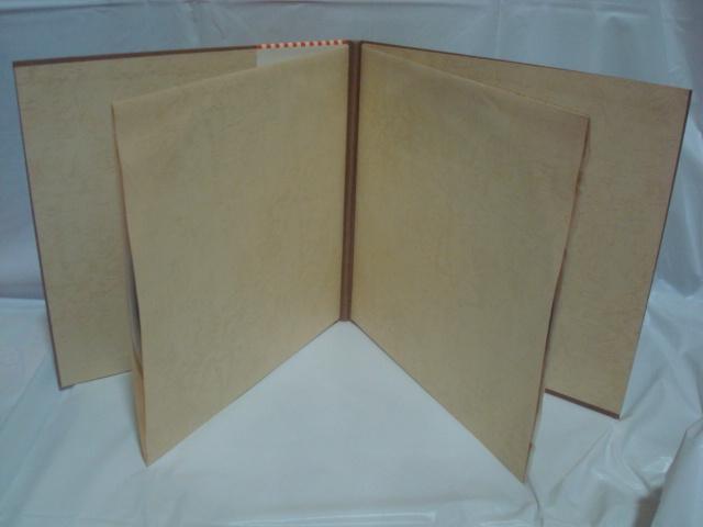 Tiz~X^[G h̔wԍ3 / ΗYE̋Ձ@ ѕt2LP  CD/DVD/rfI 