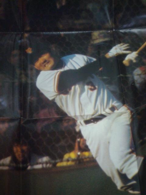 Tiz~X^[G h̔wԍ3 / ΗYE̋Ձ@ ѕt2LP  CD/DVD/rfI 