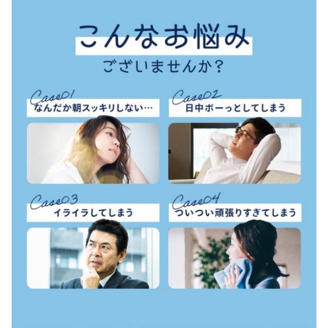 GABA ギャバ サプリメント 約3ヵ月分 健康食品 < グルメ/ドリンク  GABA ギャバ サプリメント 約3ヵ月分 健康食品 < グルメ/ドリンクの