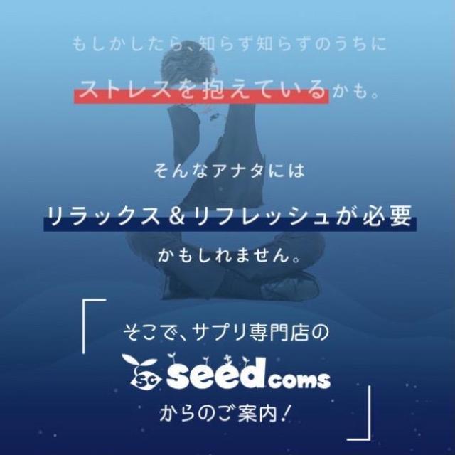 GABA ギャバ サプリメント 約3ヵ月分 健康食品 < グルメ/ドリンク  GABA ギャバ サプリメント 約3ヵ月分 健康食品 < グルメ/ドリンクの
