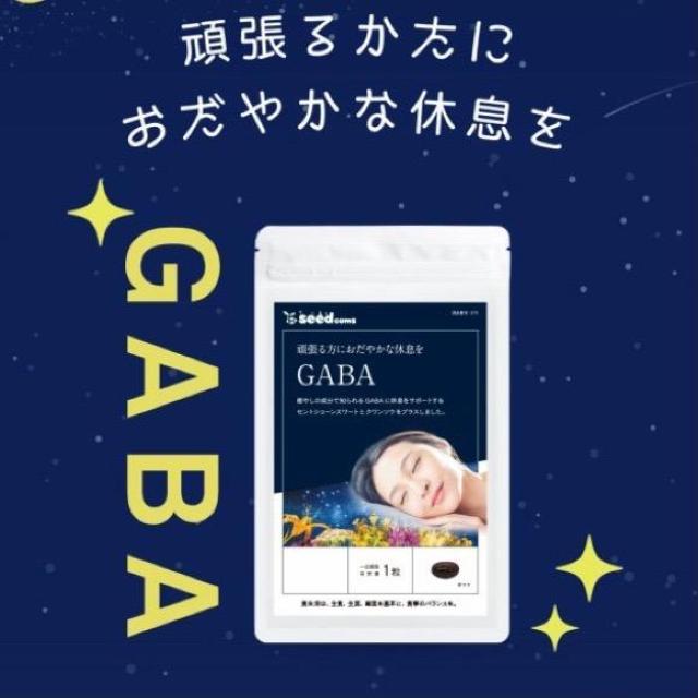 GABA ギャバ サプリメント 約3ヵ月分 健康食品 < グルメ/ドリンク  GABA ギャバ サプリメント 約3ヵ月分 健康食品 < グルメ/ドリンクの