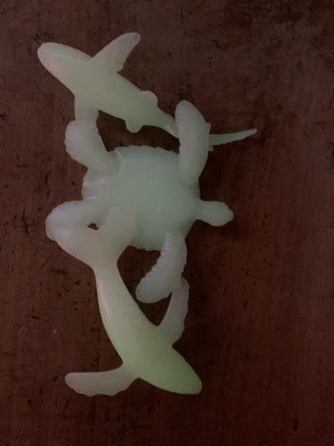 光るおもちゃ 亀クジラ、サメ、イルカ3個 送料無料 < おもちゃ  光るおもちゃ 亀クジラ、サメ、イルカ3個 送料無料 < おもちゃの