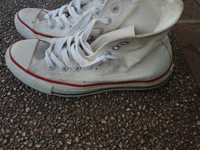 CONVERSE   ALL��STAR   �n�C�J�b�g�X�j�[�J�[  �Q�Tcm �� �u�����h�� 