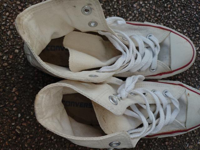 CONVERSE   ALL��STAR   �n�C�J�b�g�X�j�[�J�[  �Q�Tcm �� �u�����h�� 