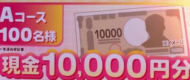 ����10000�~�~100��������/1��  �� �`�P�b�g/������ 