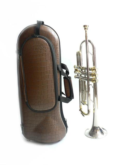 NIKKAN トランペット TR-134 < ホビー NIKKAN トランペット TR-134 < ホビーの