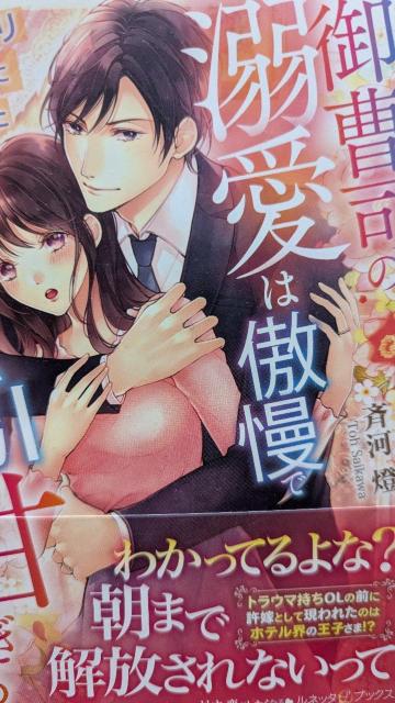 御曹司の溺愛は傲慢で強引なのに甘すぎる★斉河燈★ルネッタブックス < 本/雑誌 御曹司の溺愛は傲慢で強引なのに甘すぎる★斉河燈★ルネッタブックス < 本/雑誌の