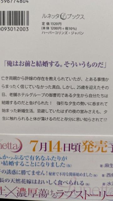 御曹司の溺愛は傲慢で強引なのに甘すぎる★斉河燈★ルネッタブックス < 本/雑誌 御曹司の溺愛は傲慢で強引なのに甘すぎる★斉河燈★ルネッタブックス < 本/雑誌の