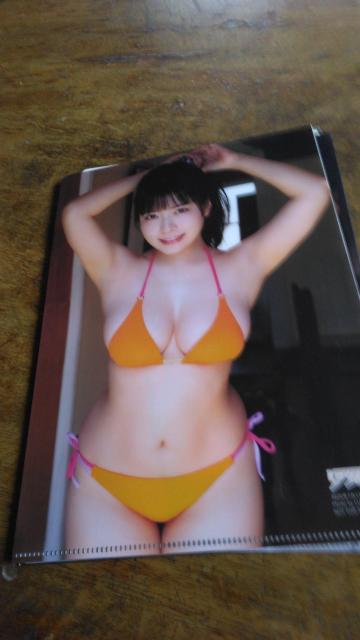 ���_���݂̃N���A�t�@�C��5���Z�b�g �� �^�����g�O�b�Y�� 