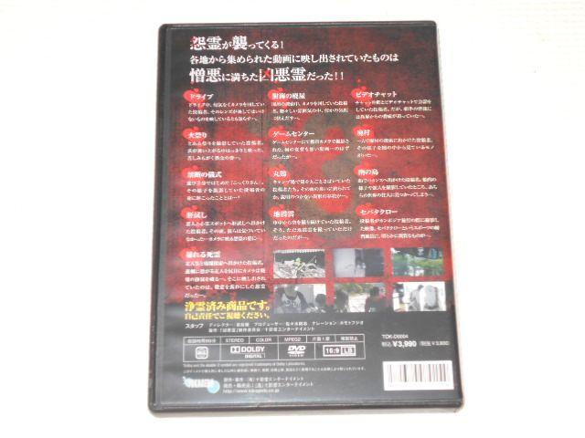 DVD ꂽef13A Vol.1  CD/DVD/rfI 