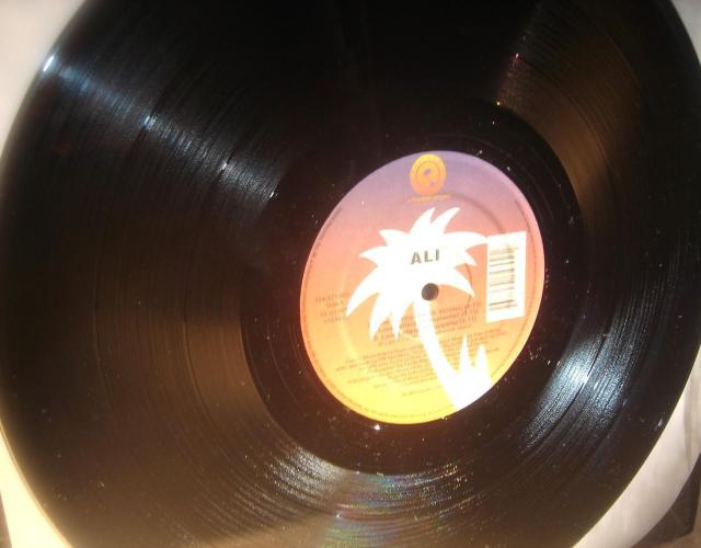 Ali - Love Letters US盤 廃盤12inch ISLAND Lorne 人気盤 Alistair Tennant < CD/DVD/ビデオ  Ali - Love Letters US盤 廃盤12inch ISLAND Lorne 人気盤 Alistair Tennant < CD/DVD/ビデオの