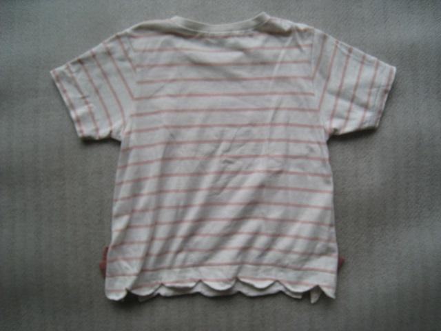  SERAPH @Zt@ TVc@ ̎qp@ 1R0TCY@  LbY/xr[ 