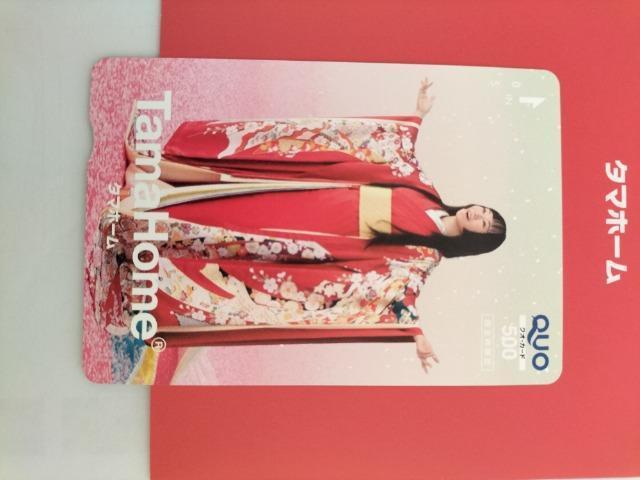 NIJ[h500~@ށX@^}z[@gp@񔄕i  `Pbg/ 