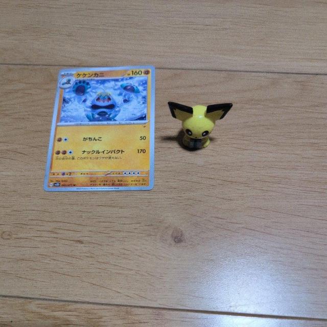 |PJ[hƃ|P܂Ƃߔ2Zbg   g[fBOJ[h 