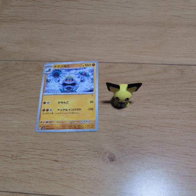 |PJ[hƃ|P܂Ƃߔ2Zbg  g[fBOJ[h 