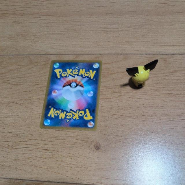 |PJ[hƃ|P܂Ƃߔ2Zbg  g[fBOJ[h 