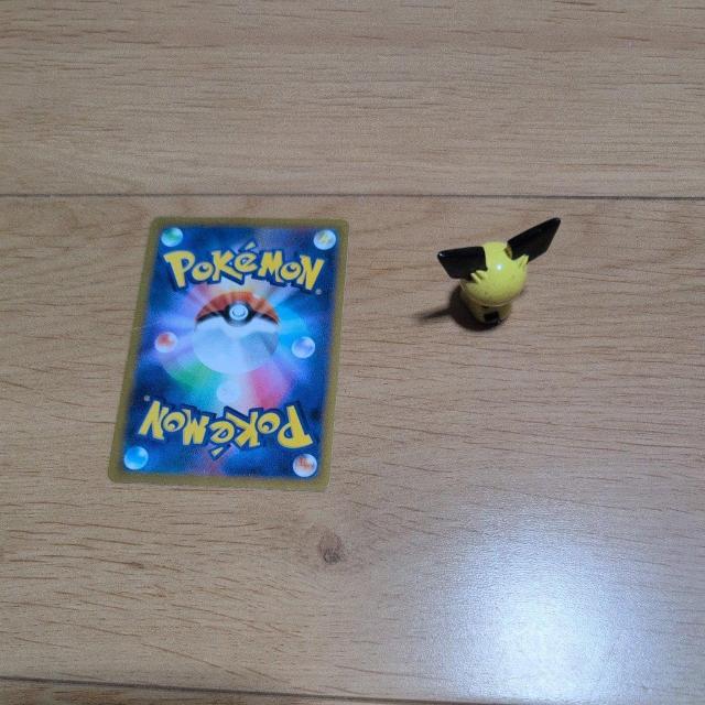 |PJ[hƃ|P܂Ƃߔ2Zbg  g[fBOJ[h 