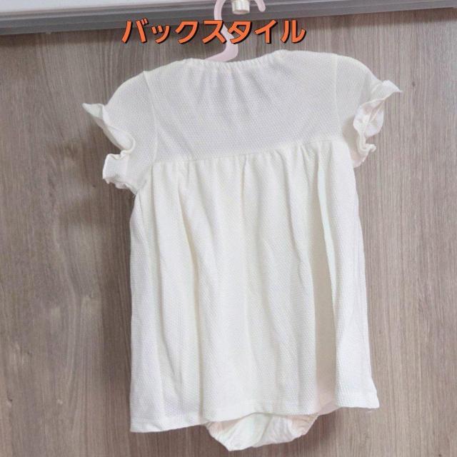 Vip ԃ`[ttp[X TCY80-90  Zj[hX މ@ t@[XghX  LbY/xr[ 