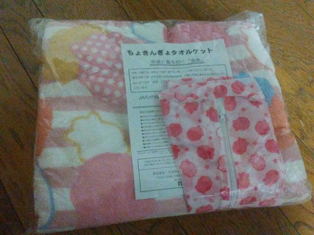 Vi@傫񂬂@^IPbg@ԕt   zr[ 