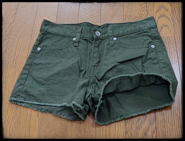 GUguW[[V[gpcn[tpcZp΁STCY܂Ƃߔ}  uh 