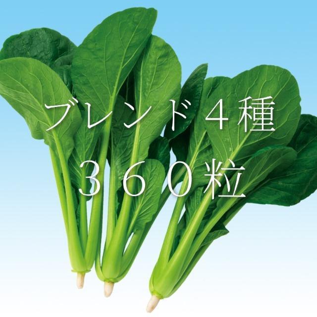 �u�����h�S��R�U�O���~�R�p�b�N�{���S���S�����z���ł��_(^o^)�^  �� �y�b�g/��|/���|�� 