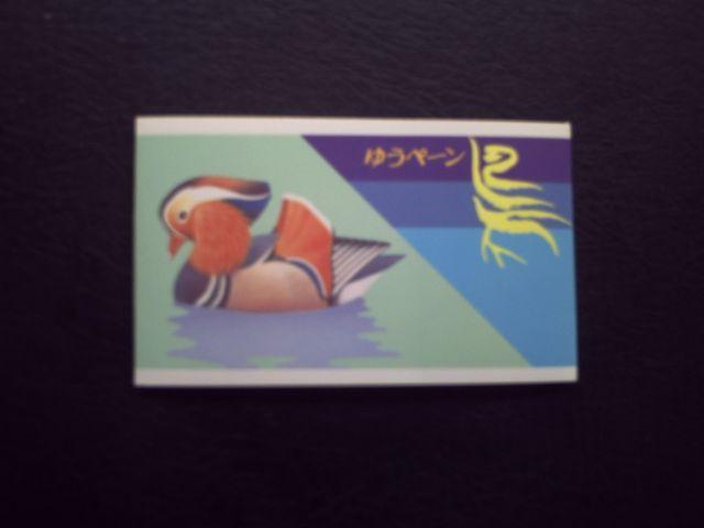 ygpz1993N@䂤؁[@P   zr[ 