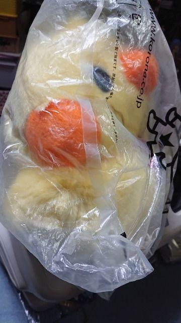 TaE剉fE}XRbgʂ  ^gObY 