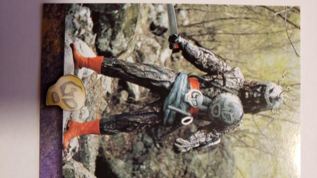 ʃC_[XyAZCfXz  g[fBOJ[h 