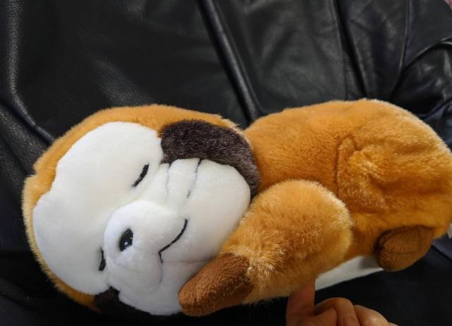 あらいぐまラスカル/ぬいぐるみおやすみラスカル/ぬいぐるみ/約50cm/超レア < アニメ/コミック/キャラクター  あらいぐまラスカル/ぬいぐるみおやすみラスカル/ぬいぐるみ/約50cm/超レア  < アニメ/コミック/キャラクターの