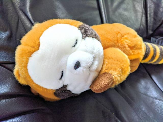 あらいぐまラスカル/ぬいぐるみおやすみラスカル/ぬいぐるみ/約50cm/超レア < アニメ/コミック/キャラクター  あらいぐまラスカル/ぬいぐるみおやすみラスカル/ぬいぐるみ/約50cm/超レア < アニメ/コミック/キャラクターの