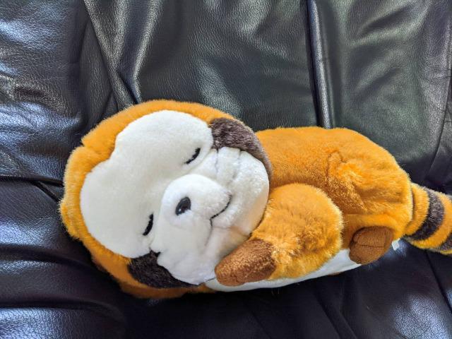 あらいぐまラスカル/ぬいぐるみおやすみラスカル/ぬいぐるみ/約50cm/超レア < アニメ/コミック/キャラクター  あらいぐまラスカル/ぬいぐるみおやすみラスカル/ぬいぐるみ/約50cm/超レア < アニメ/コミック/キャラクターの