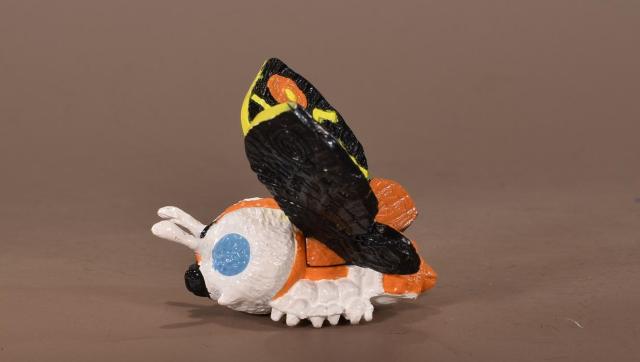  SDSW FBRNV Xijogicj  zr[ 