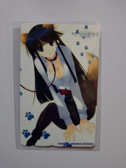 WHITE ALBUM2�@�e���J 