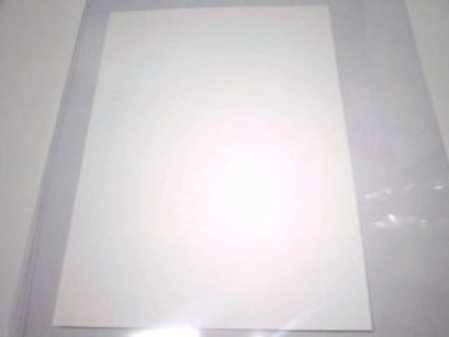 TN@񔄕i@@CXgV[g@TC@rN  zr[ 