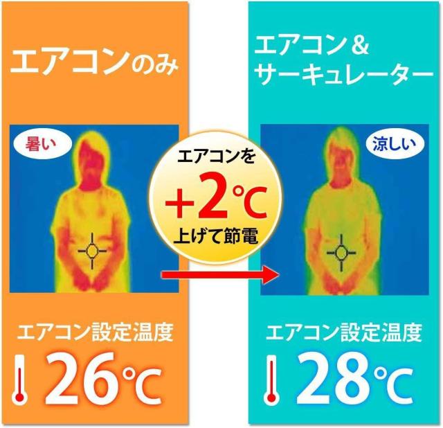 ACXI[} T[L[^[ É EU 8 pt zCg  Ɠd/AV 