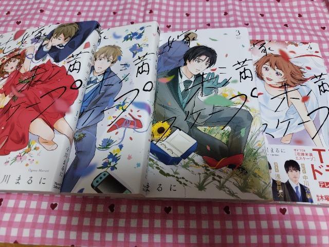 花嫁未満エスケープ 全C巻/小川まるに < アニメ/コミック/キャラクター  花嫁未満エスケープ 全C巻/小川まるに  < アニメ/コミック/キャラクターの