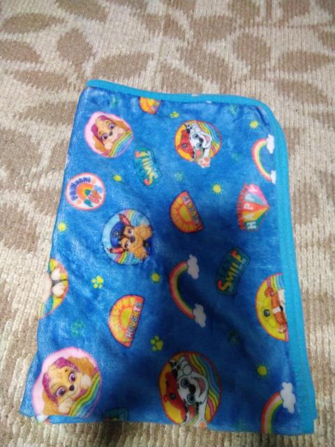 パウパトロール ボア付きブランケット 86×60cm < アニメ/コミック/キャラクター パウパトロール ボア付きブランケット 86×60cm < アニメ/コミック/キャラクターの