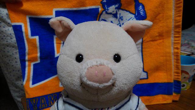 EXILETRIBE STATION NEWYEAR2017 千社札シールE-girls  Shizuka < タレントグッズ  EXILETRIBE STATION NEWYEAR2017 千社札シールE-girls  Shizuka < タレントグッズの