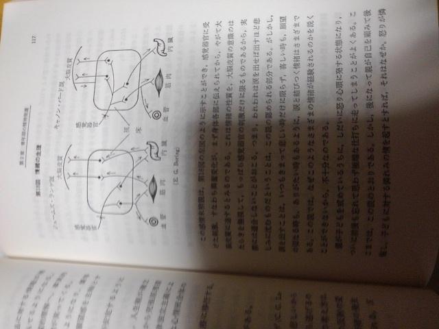 青年心理学・赤塚泰三著・創価大学 < 本/雑誌  青年心理学・赤塚泰三著・創価大学 < 本/雑誌の