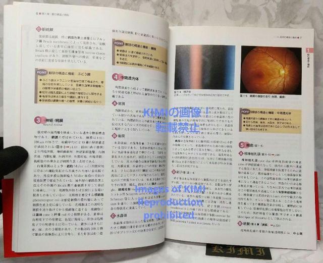 標準眼科学 第12版 単行本 2015 木下 茂 医学書院 木下 茂 ひょうじゅ < 本/雑誌  標準眼科学 第12版 単行本 2015 木下 茂 医学書院 木下 茂 ひょうじゅ < 本/雑誌の