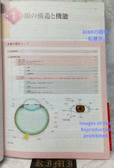 標準眼科学 第12版 単行本 2015 木下 茂 医学書院 木下 茂 ひょうじゅ < 本/雑誌  標準眼科学 第12版 単行本 2015 木下 茂 医学書院 木下 茂 ひょうじゅ < 本/雑誌の