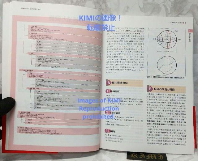 標準眼科学 第12版 単行本 2015 木下 茂 医学書院 木下 茂 ひょうじゅ < 本/雑誌  標準眼科学 第12版 単行本 2015 木下 茂 医学書院 木下 茂 ひょうじゅ < 本/雑誌の