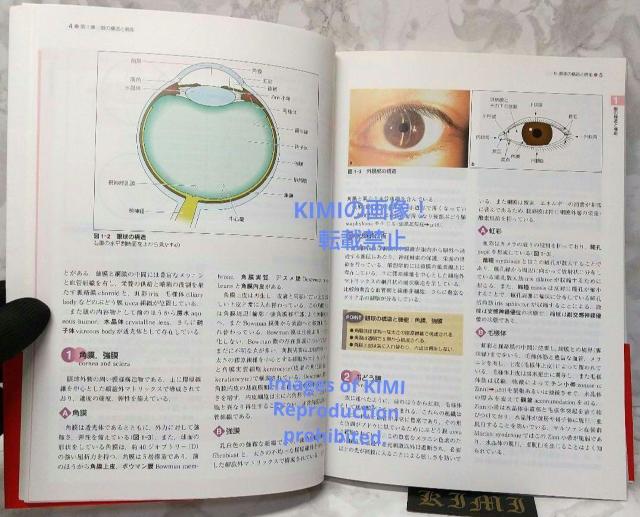 標準眼科学 第12版 単行本 2015 木下 茂 医学書院 木下 茂 ひょうじゅ < 本/雑誌  標準眼科学 第12版 単行本 2015 木下 茂 医学書院 木下 茂 ひょうじゅ < 本/雑誌の