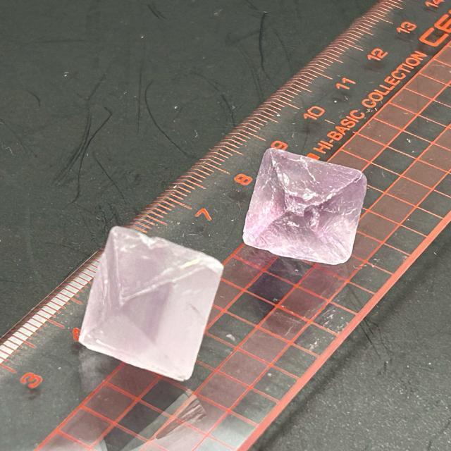 �V�R�΁@�t���[���C�g �p�[�v���n�@�Ǘ��ԍ��@ �� �y�b�g/��|/���|�� 