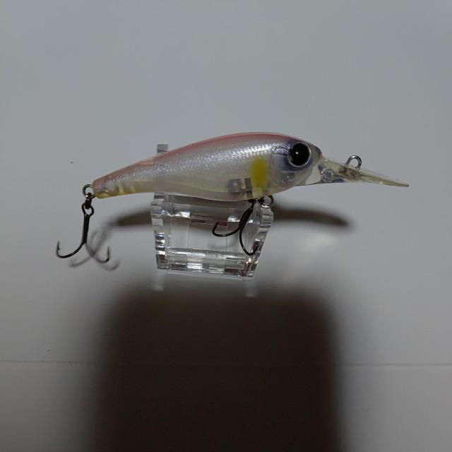 シャッドフロー < レジャー/スポーツ シャッドフロー < レジャー/スポーツの