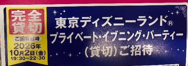 �f�B�Y�j�[���]�[�g�p�[�N�y�A�`�P�b�g/�ݐ؃p�[�e�B�[�y�A/1�� �� �`�P�b�g/������ 