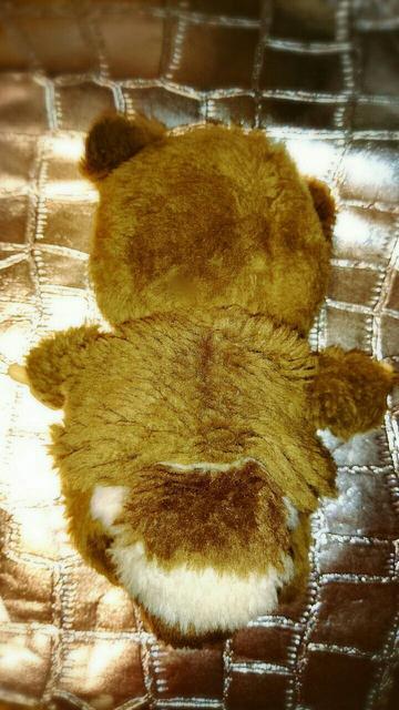 `b` ^k^k a g ʂ ^kL ʂ K   